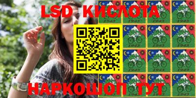 стаф Новодвинск