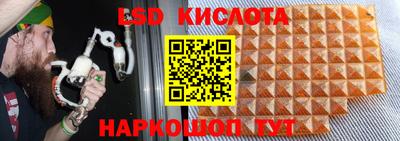 стаф Новодвинск