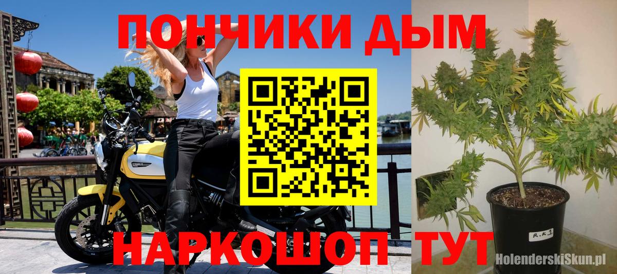 Конопля OG Kush Томск